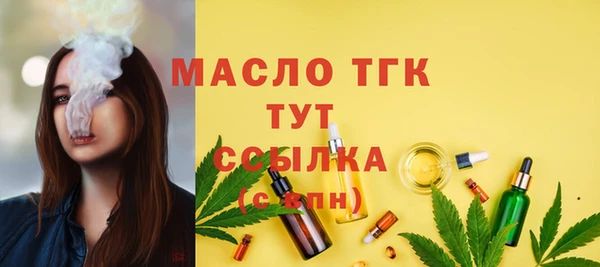 винт Пересвет