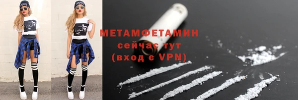 сатива Богданович